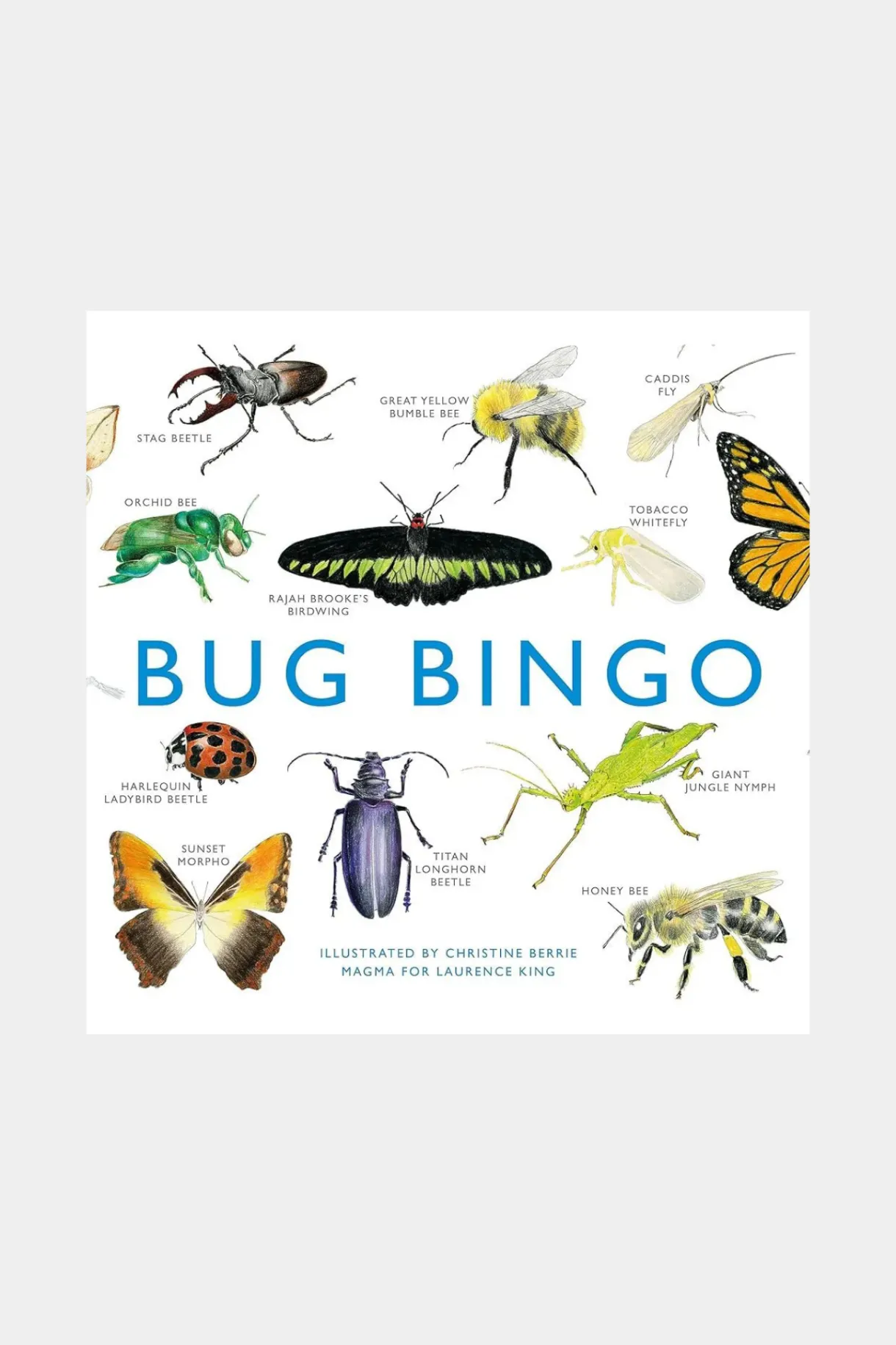 bug_bingo_0.webp Discount Brumby Bug Bingo