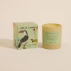 Clearance Celia Loves Green Pear & Spiced Medley