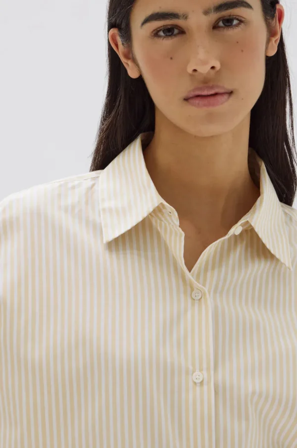Online Assembly Label Signature Poplin Shirt - Chamomile / White