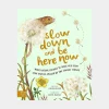 New Brumby Slow Down and Be Here Now