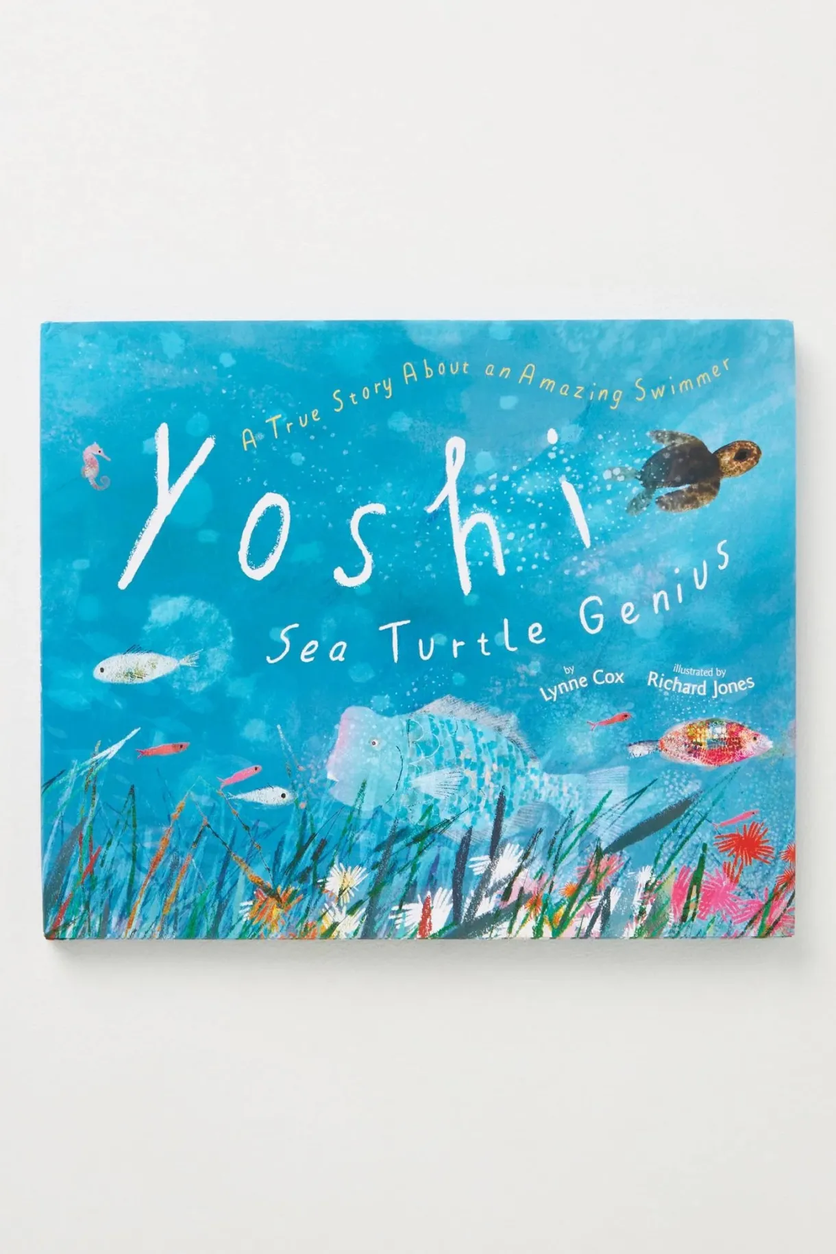 yoshi_sea_turtle_genius_0.webp New Hardie Grant Yoshi, Sea Turtle Genius